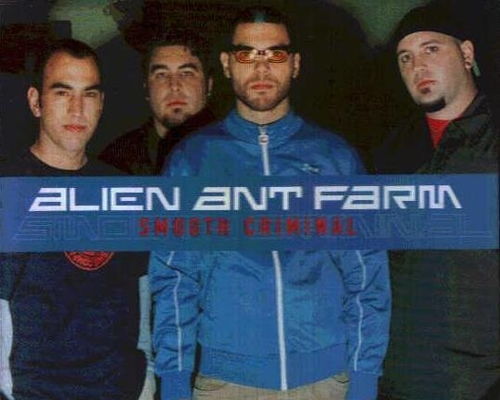 annie you ok alien ant farm,Annie You Ok Alien Ant Farm: A Detailed Multidimensional Introduction