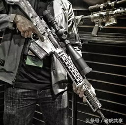 punisher ar 15,Punisher AR-15: A Comprehensive Overview