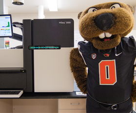 ok state mascot,Ok State Mascot: A Detailed Multidimensional Introduction