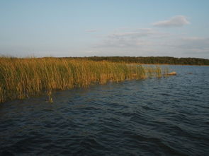 lake murray state park ok,Lake Murray State Park, OK: A Comprehensive Guide