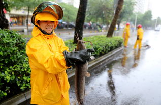 ok severe weather,Understanding Severe Weather: A Detailed Guide for You